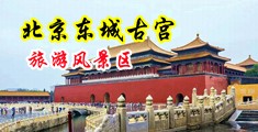 扣骚穴中国北京-东城古宫旅游风景区